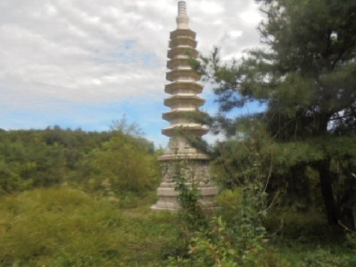 사진 06