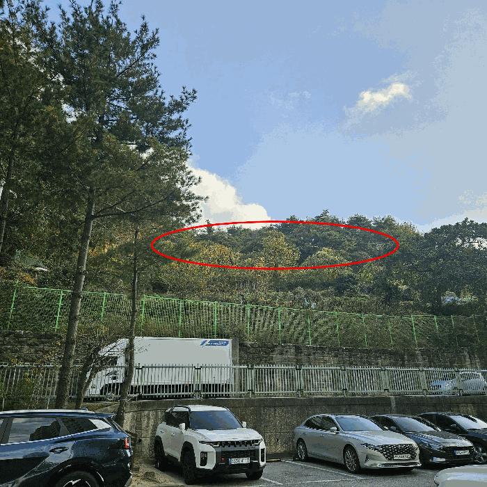 사진 01