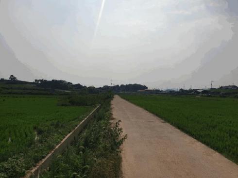 사진 01