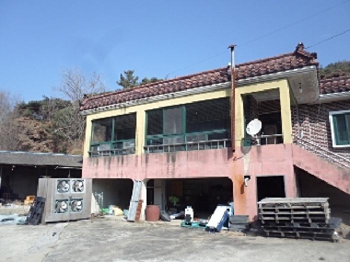 사진 05