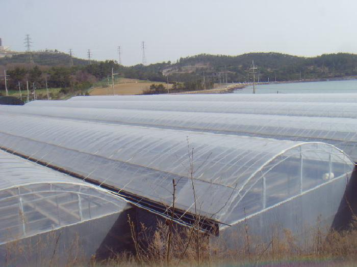 사진 03