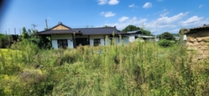 사진 01