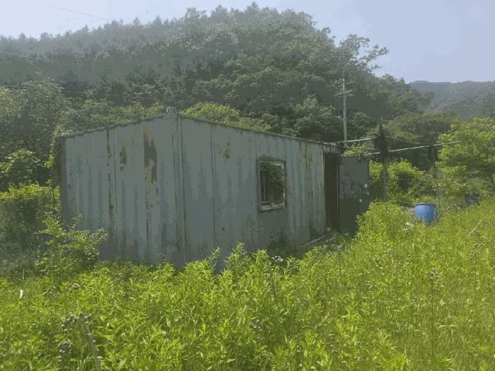 사진 05