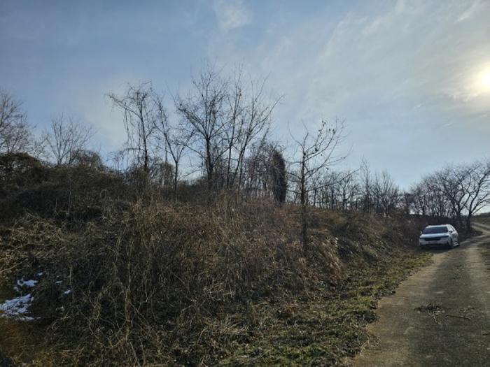 사진 04
