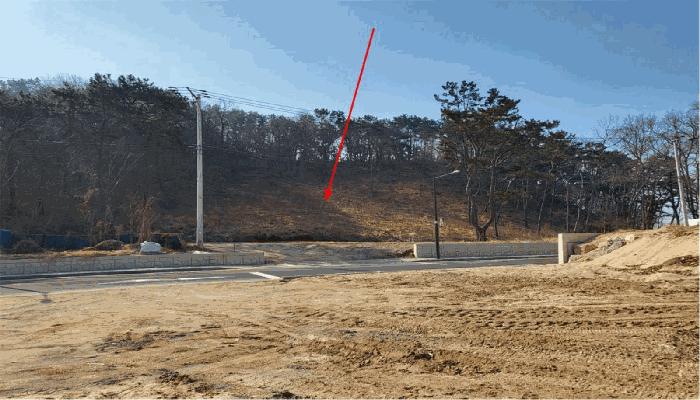 사진 01