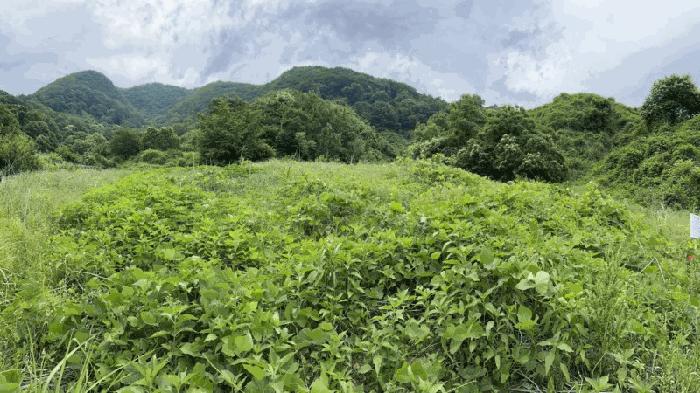 사진 06