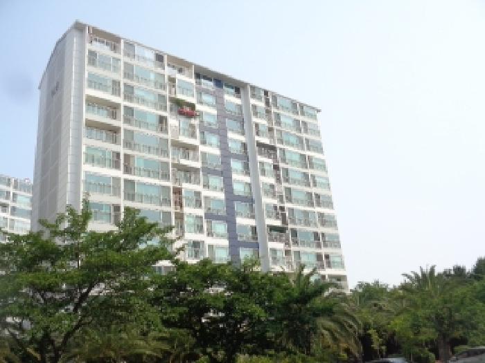 사진 07