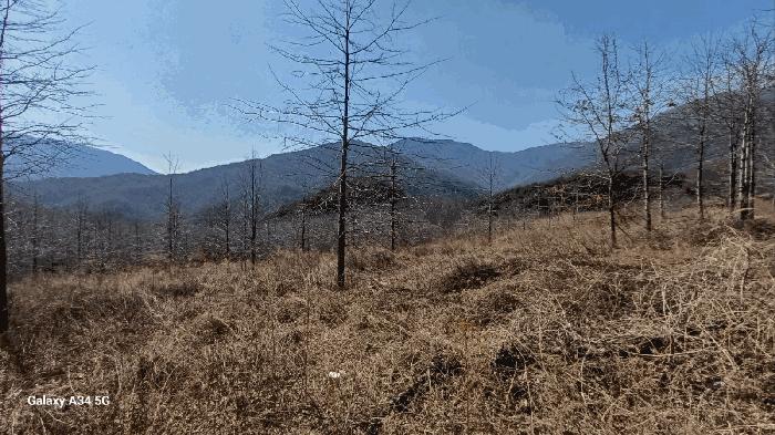 사진 06