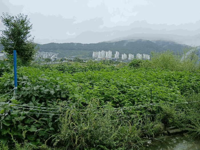 사진 08