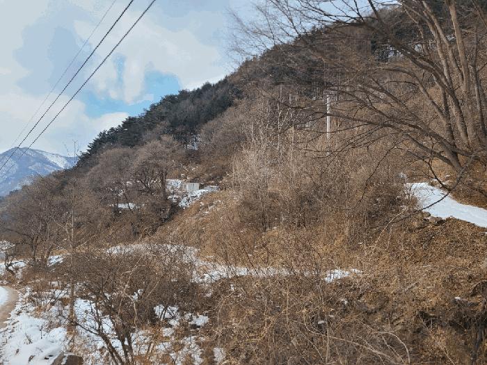사진 05