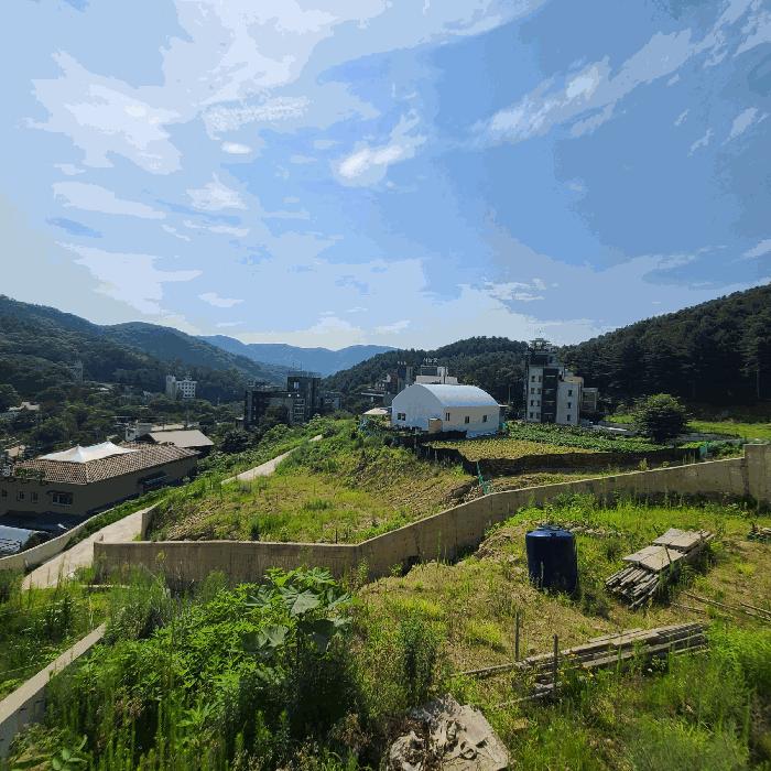 사진 05