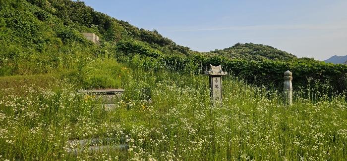 사진 02