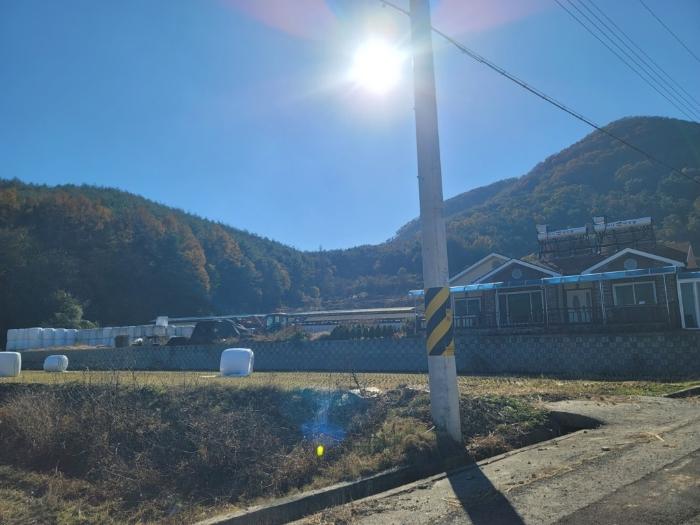 사진 03