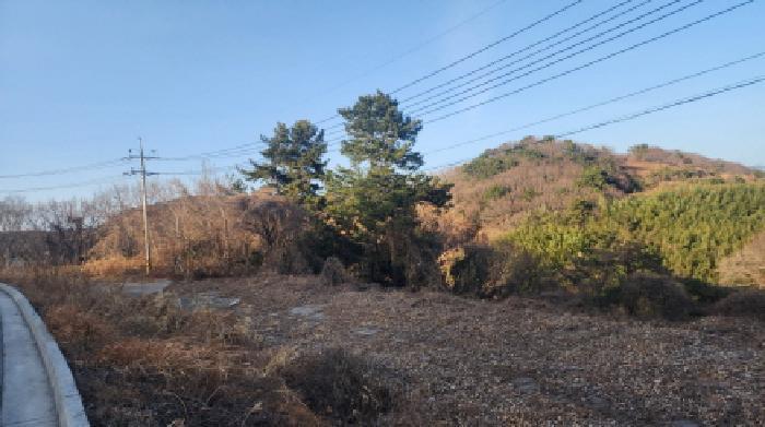 사진 08