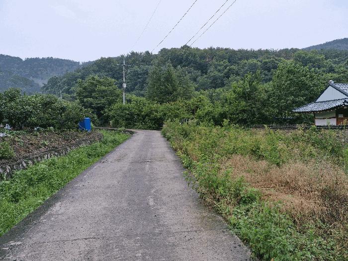 사진 04