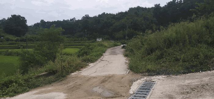 사진 06