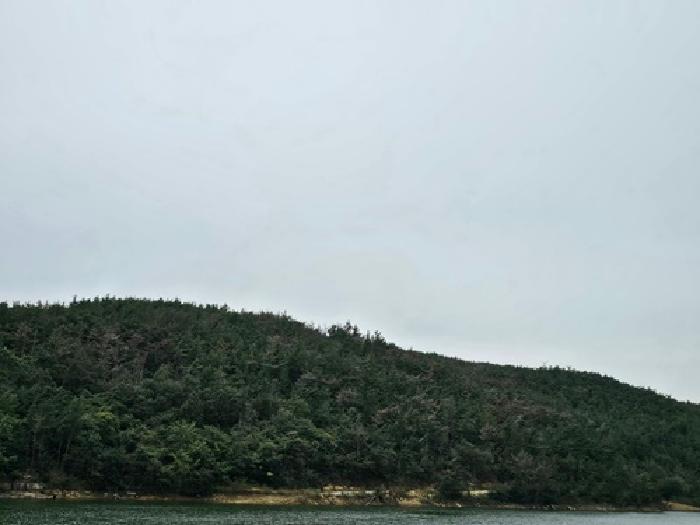 사진 04