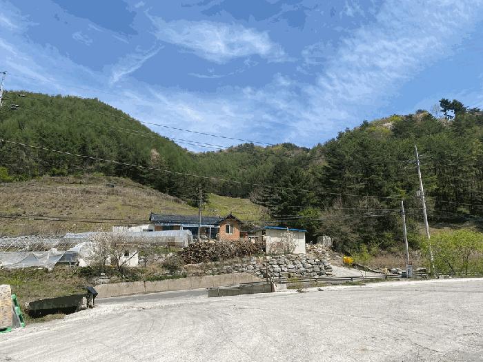 사진 01