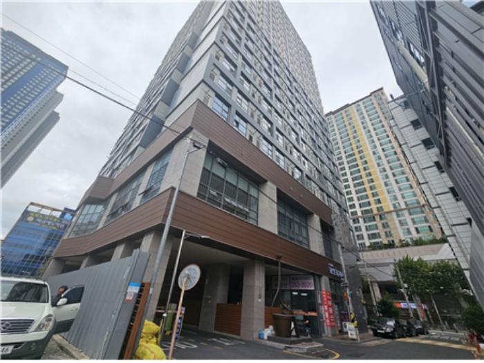 사진 03