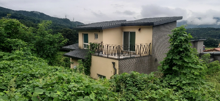 사진 08