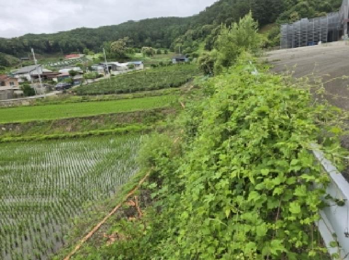 사진 08