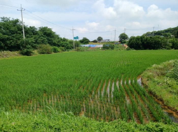 사진 05