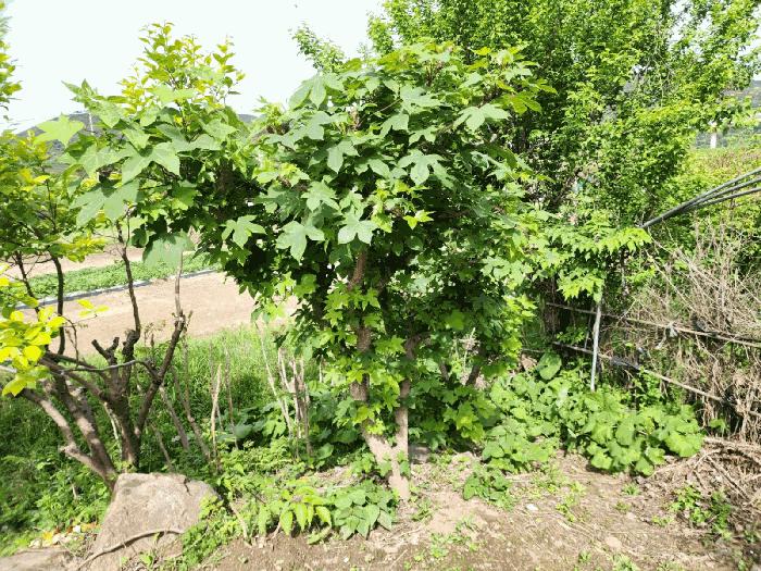 사진 07