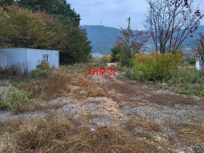 사진 06