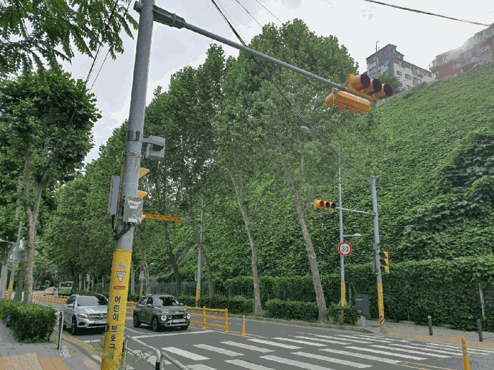 사진 08