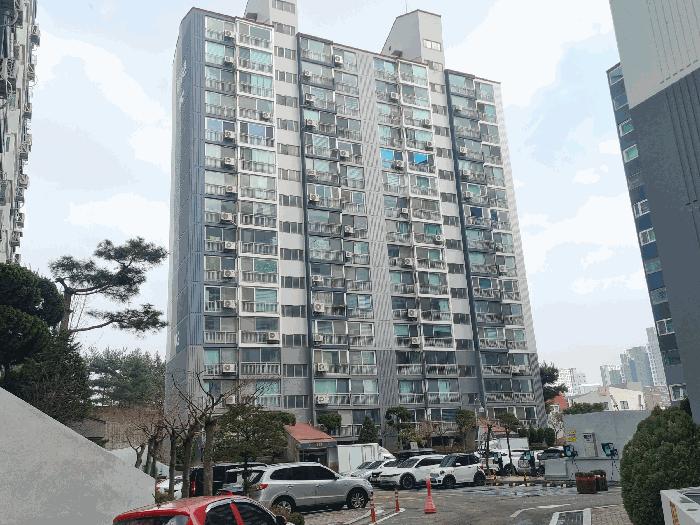 사진 01