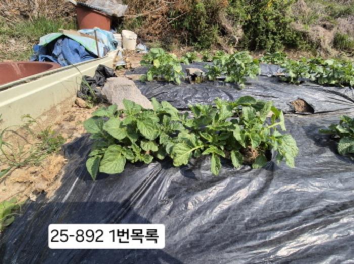 사진 02