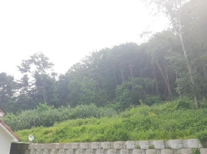 사진 03
