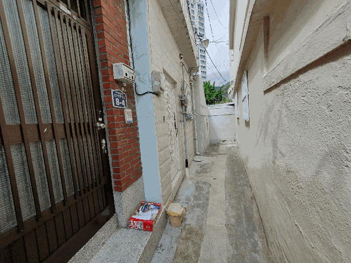 사진 03