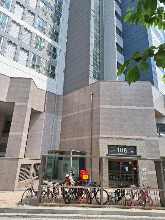 사진 05