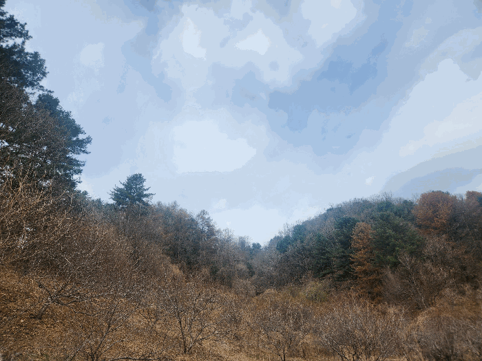 사진 08
