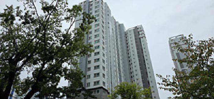 사진 01