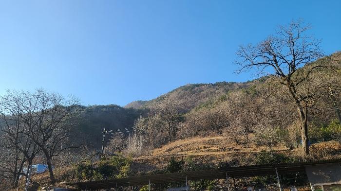 사진 05