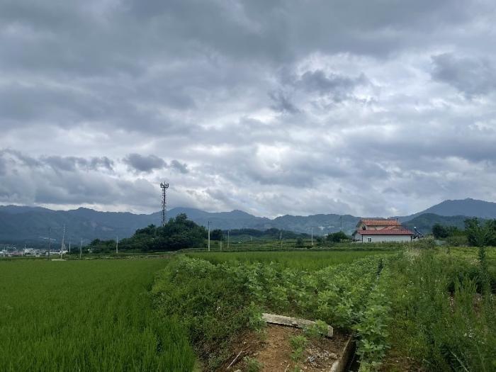 사진 04
