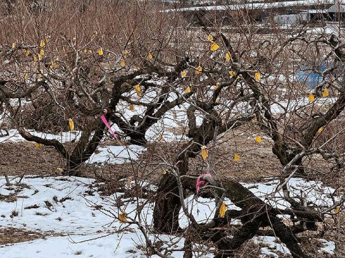 사진 04