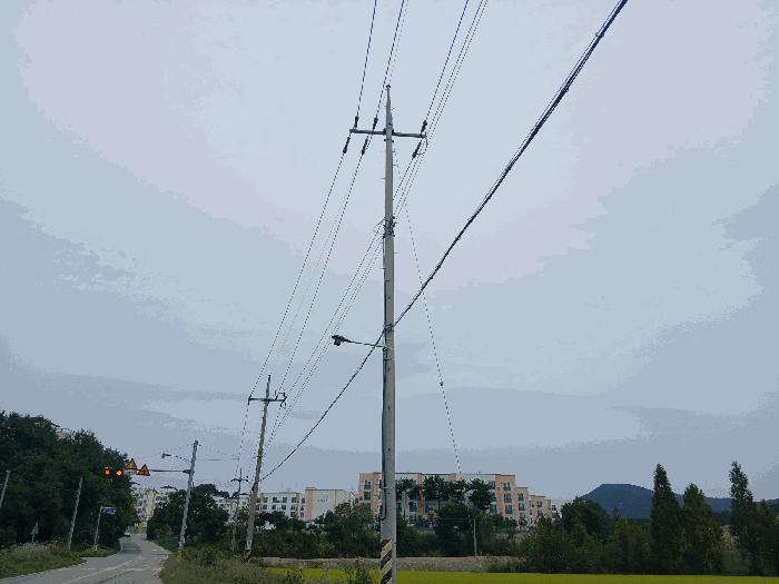 사진 01