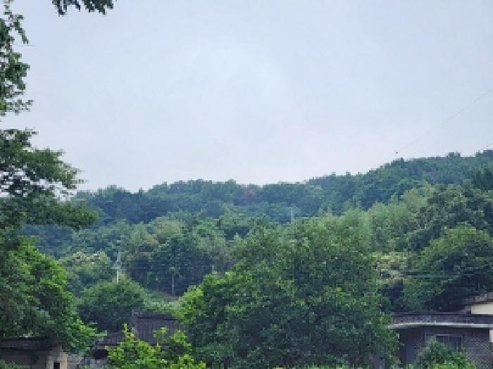 사진 08