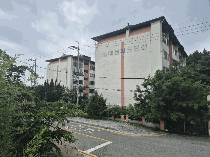 사진 08