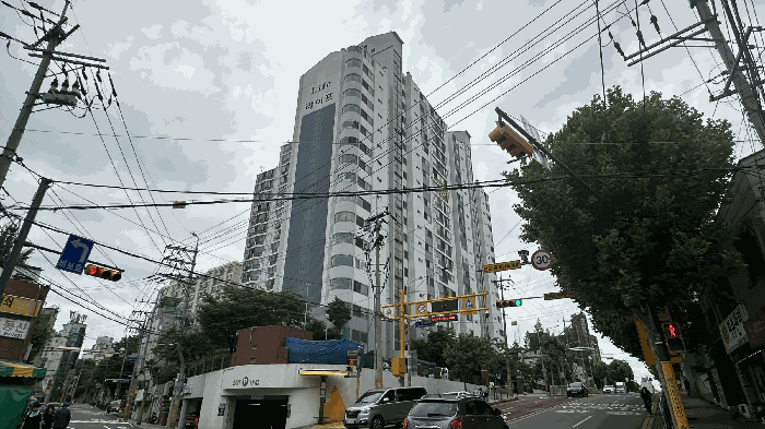 사진 07