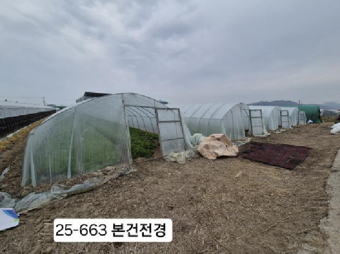 사진 07