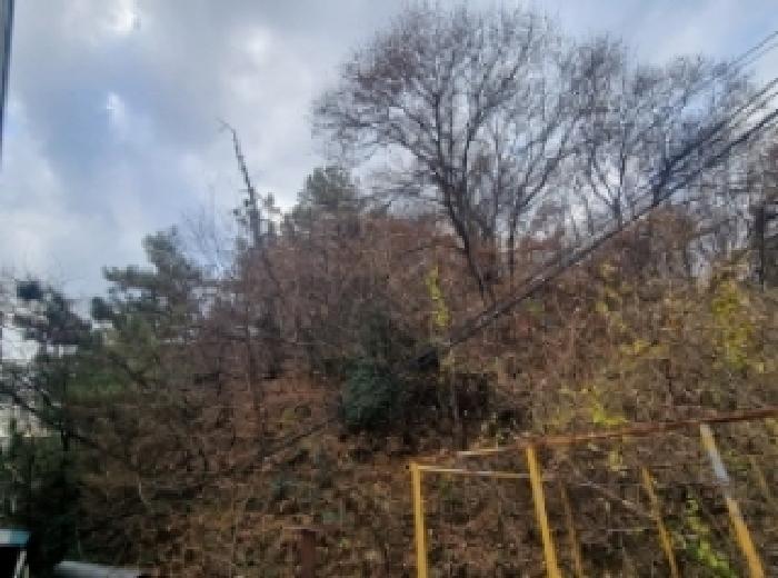 사진 06