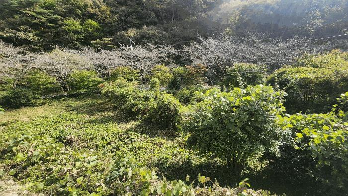 사진 06