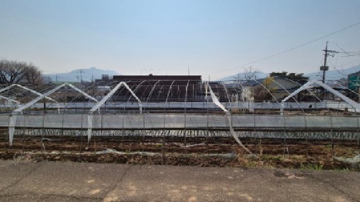 사진 08