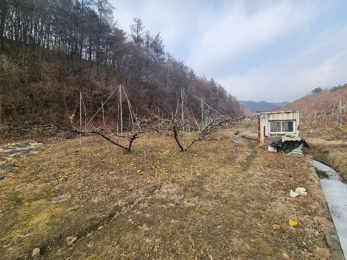 사진 07