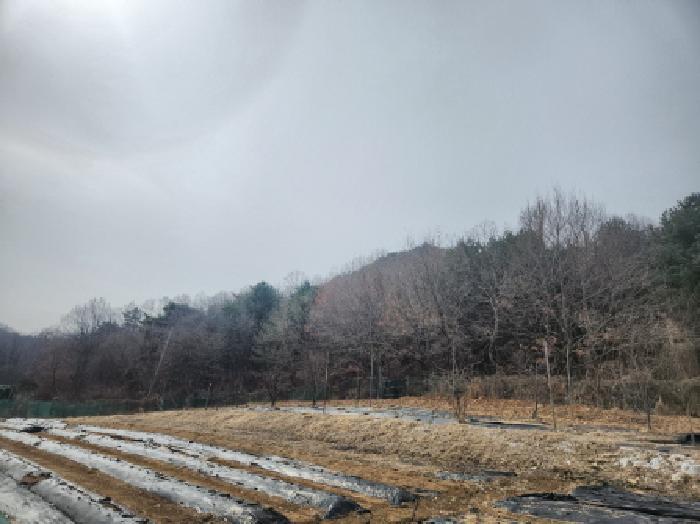 사진 05