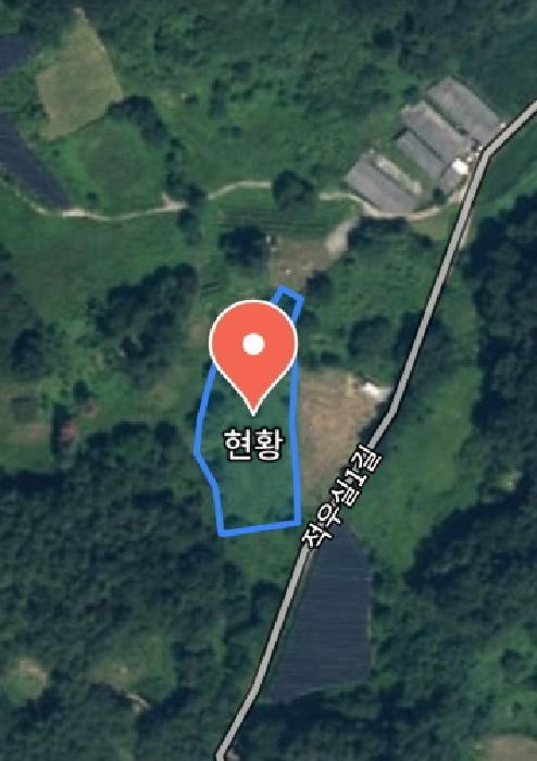 사진 08